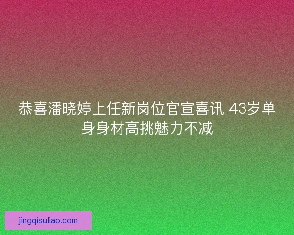 恭喜潘晓婷上任新岗位官宣喜讯 43岁单身身材高挑魅力不减