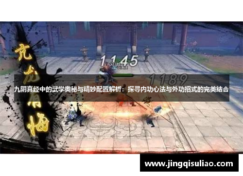 九阴真经中的武学奥秘与精妙配置解析：探寻内功心法与外功招式的完美结合