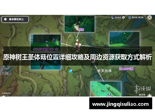 原神树王圣体菇位置详细攻略及周边资源获取方式解析