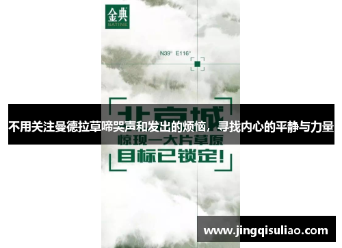 不用关注曼德拉草啼哭声和发出的烦恼，寻找内心的平静与力量