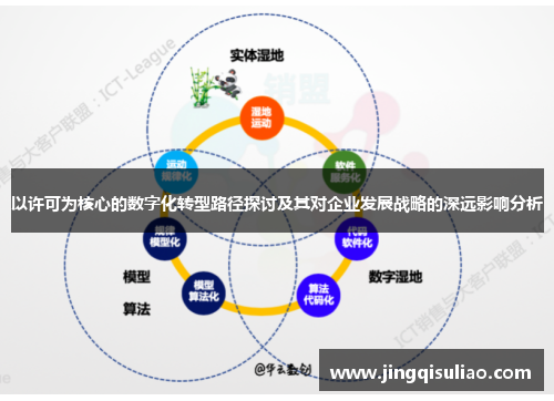 以许可为核心的数字化转型路径探讨及其对企业发展战略的深远影响分析